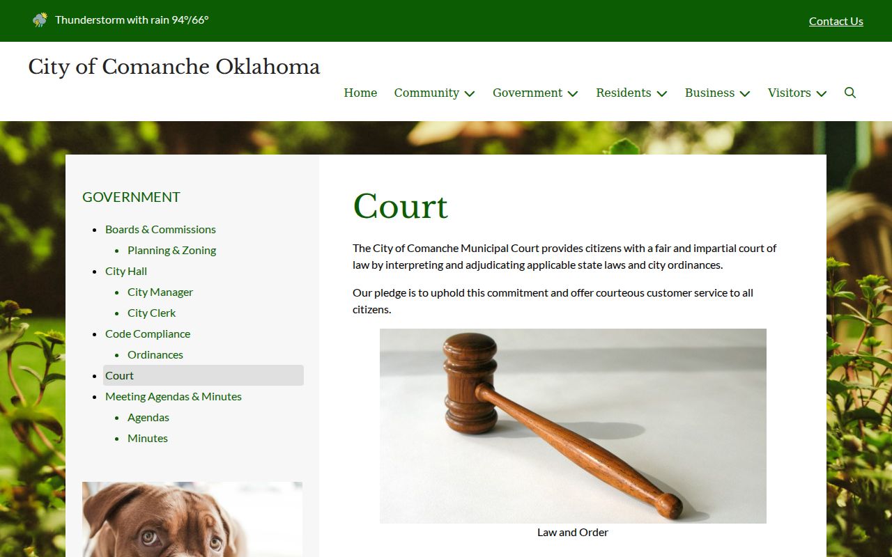 Comanche court-linked citation locator fields